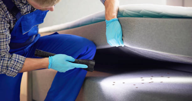 Best Flea Control Services  in Prairie Grove, AR